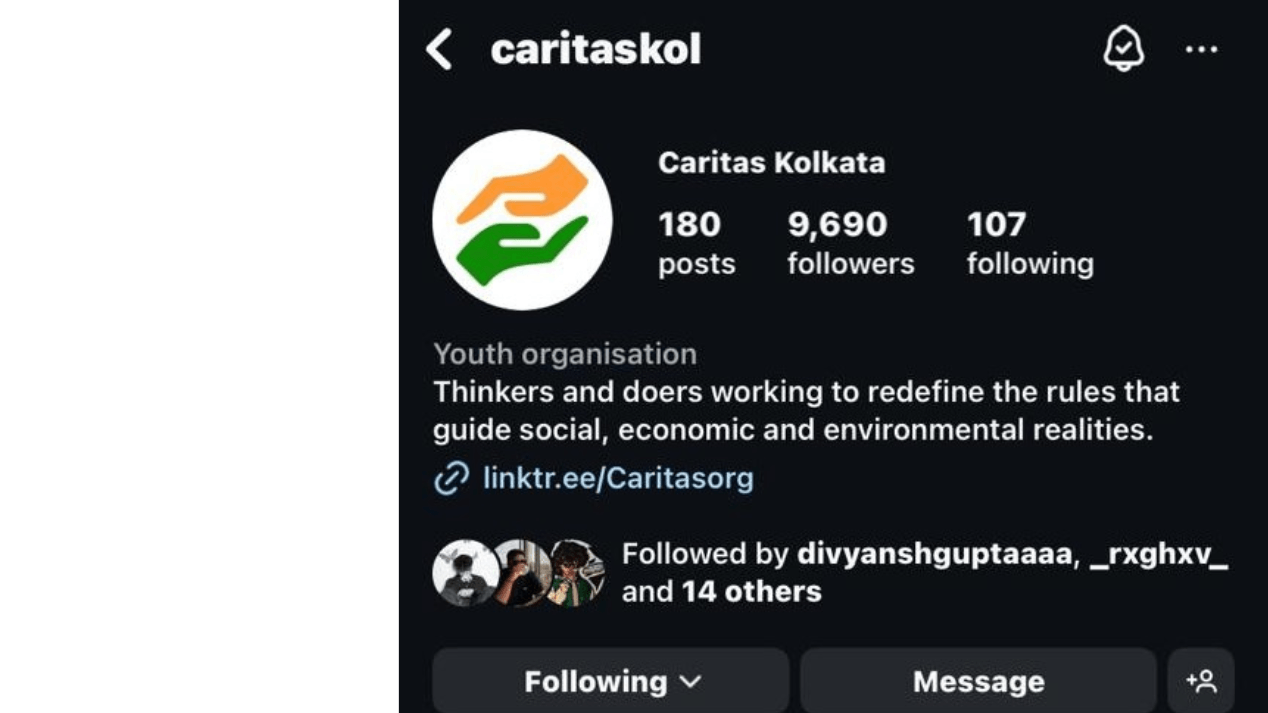 Co-Curricular I worked on